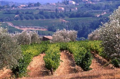 OENOTOURISME sjour au chateau, domaine, cave ou chambre d'hote. Circuit en france, en europe ou ailleurs. L'encyclopdie des vins du monde entier