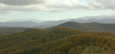 Pyrenees